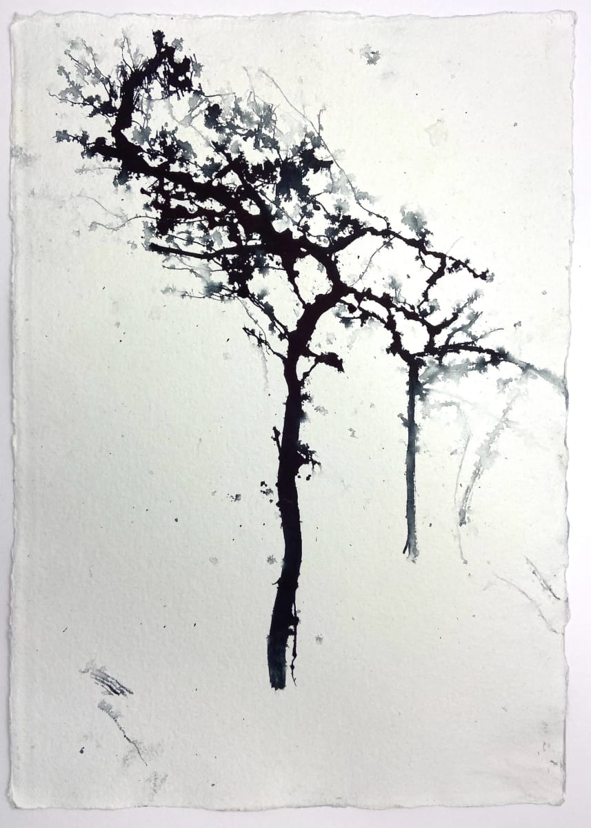 Raintrees February 2024 by Lisa Fenton O'Brien 