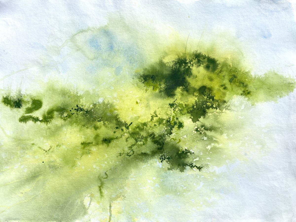 Sphagnum Rainfall April 10th by Lisa Fenton O'Brien  Image: Unframed