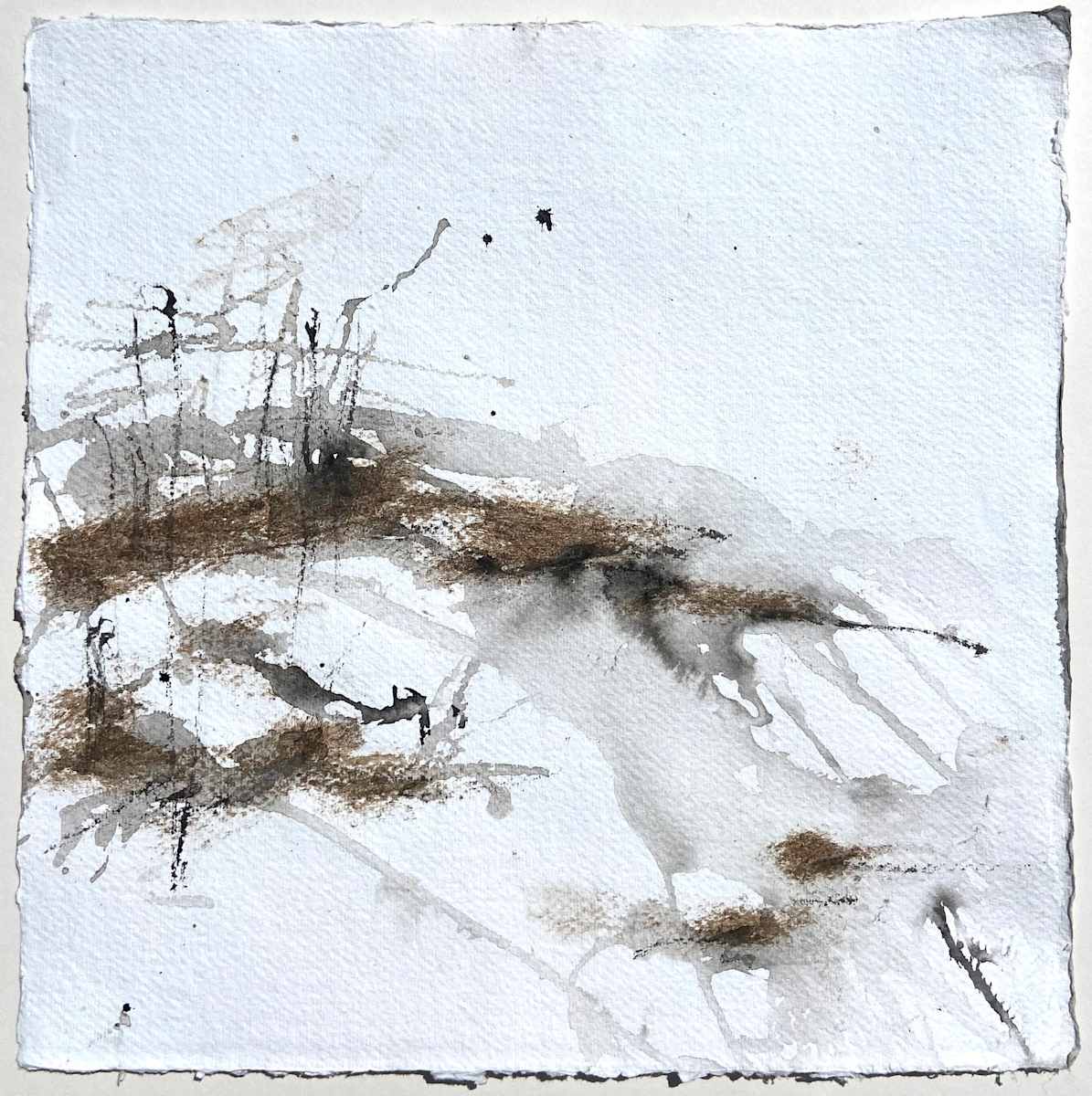 Forest, rain, peat and ice I by Lisa Fenton O'Brien 