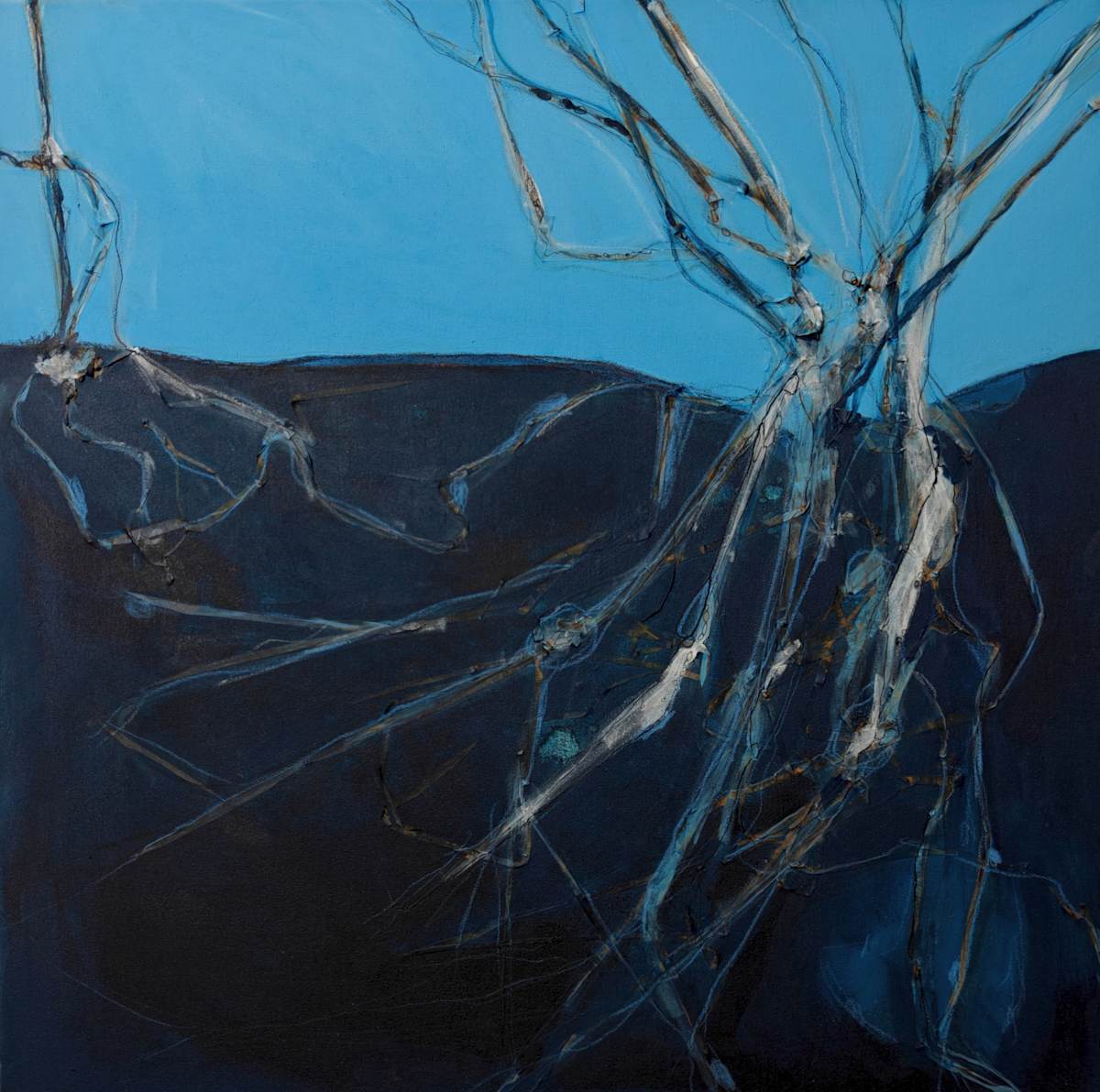 Root Reach by Anja Bamberg, Image 1.