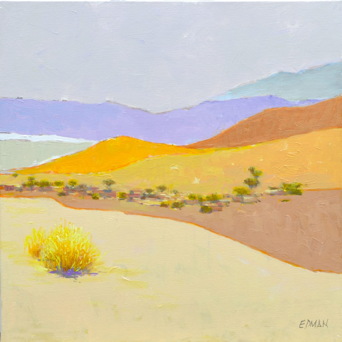 Village in the Desert by Edman 