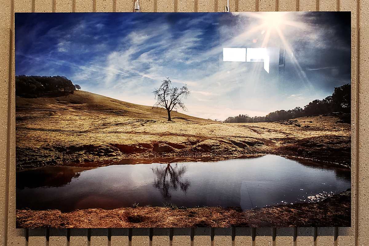 Nature's Mirror by Stephanie Guilin 