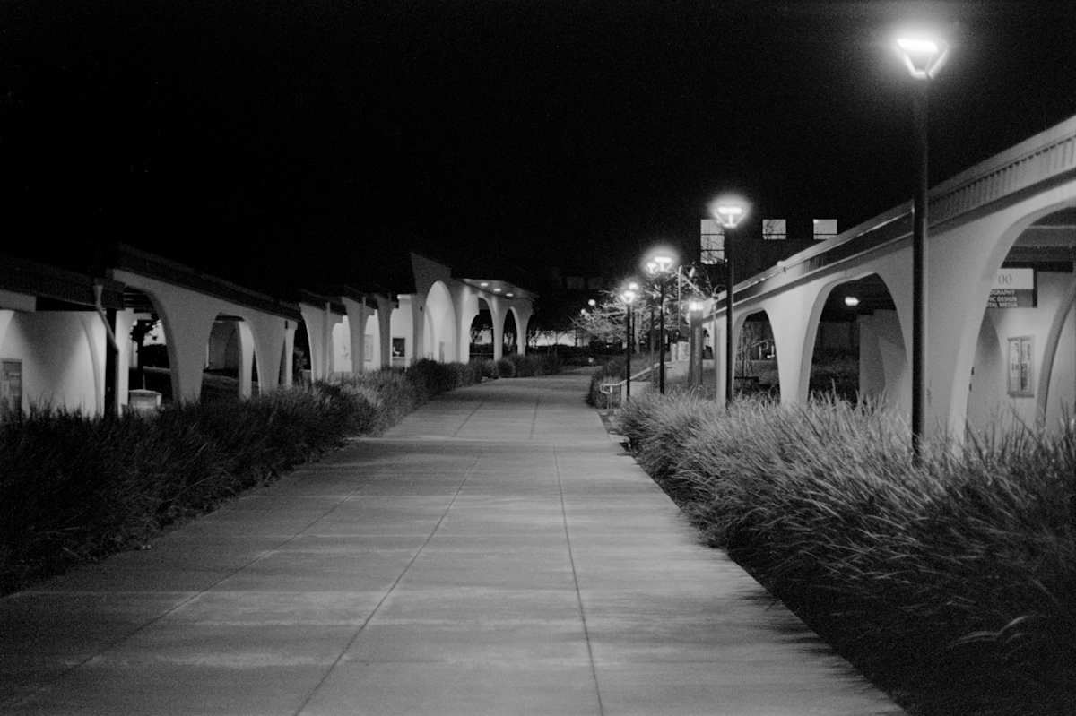NightHawks by Salvador Siegel 