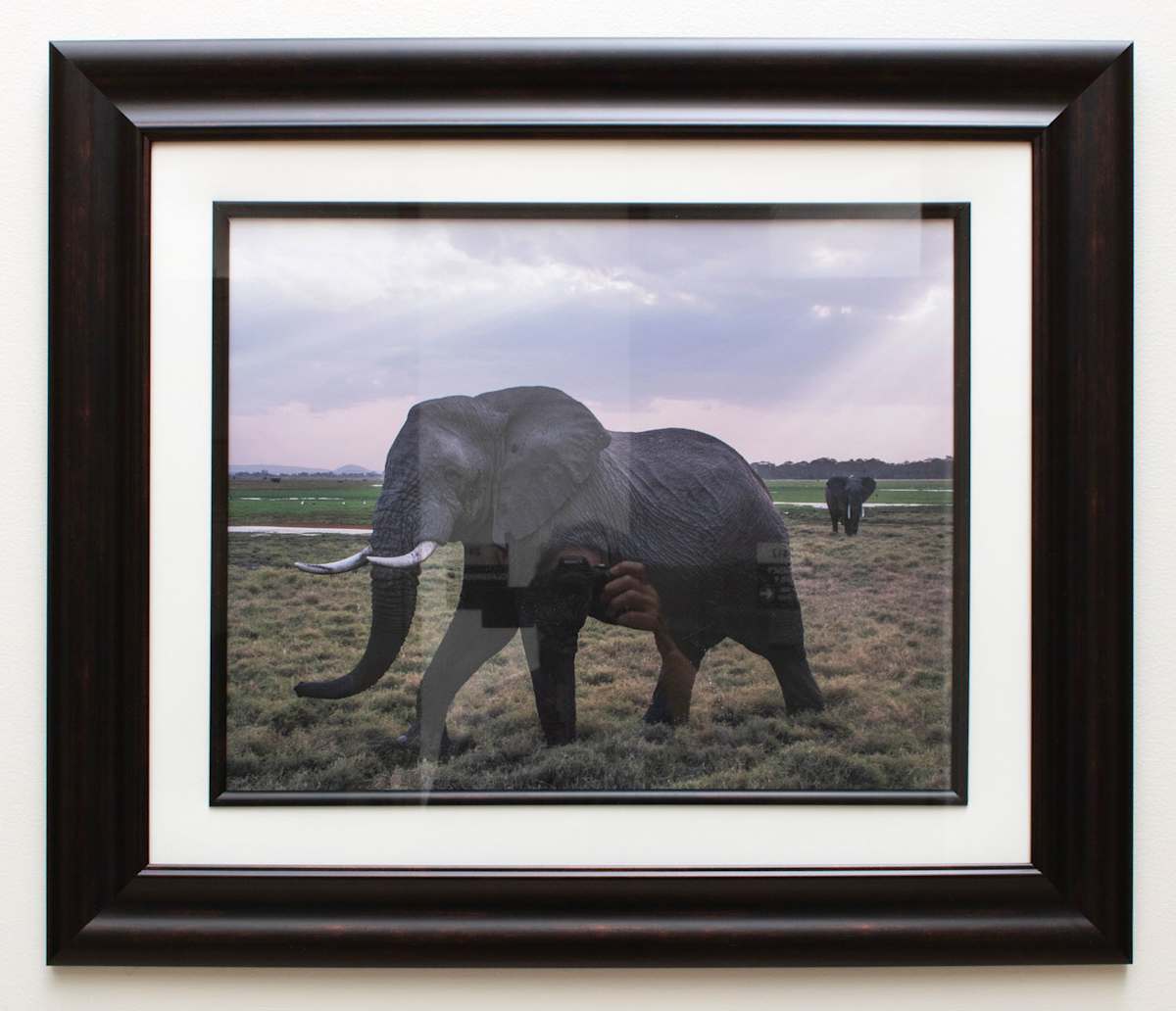 Massi Mara Nationak Park, Kenya – Elephants by Susan Lewis 