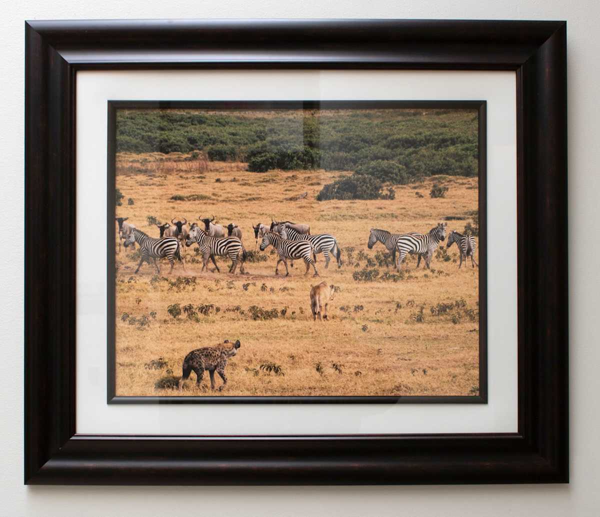 Massi Mara Nationak Park, Kenya – Mixed Animals by Susan Lewis 