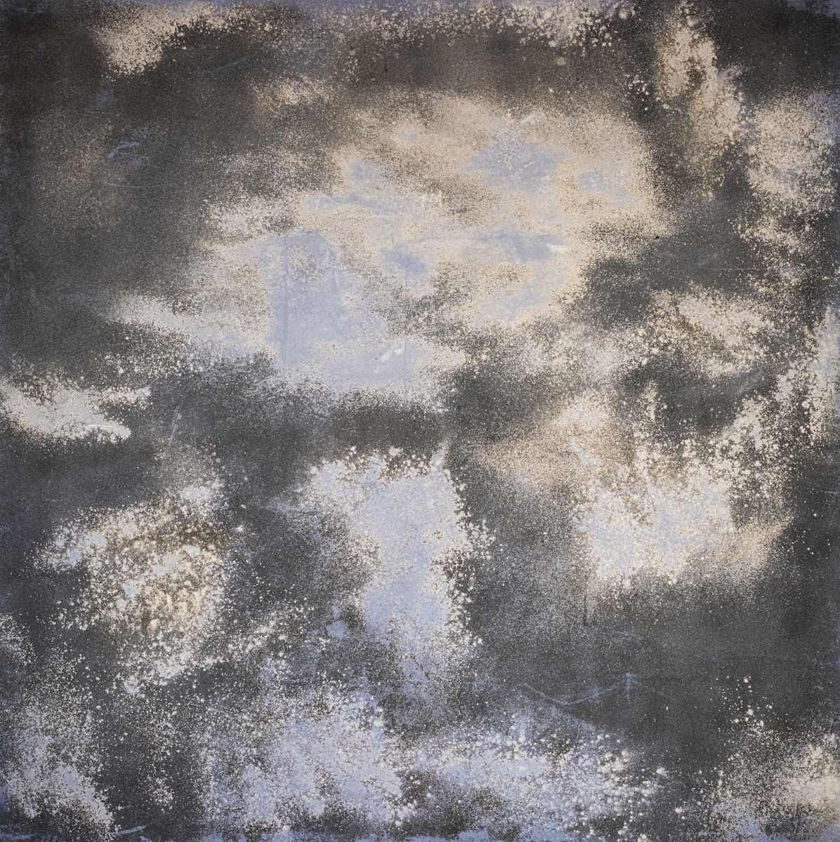 Characol by Peter Studl 