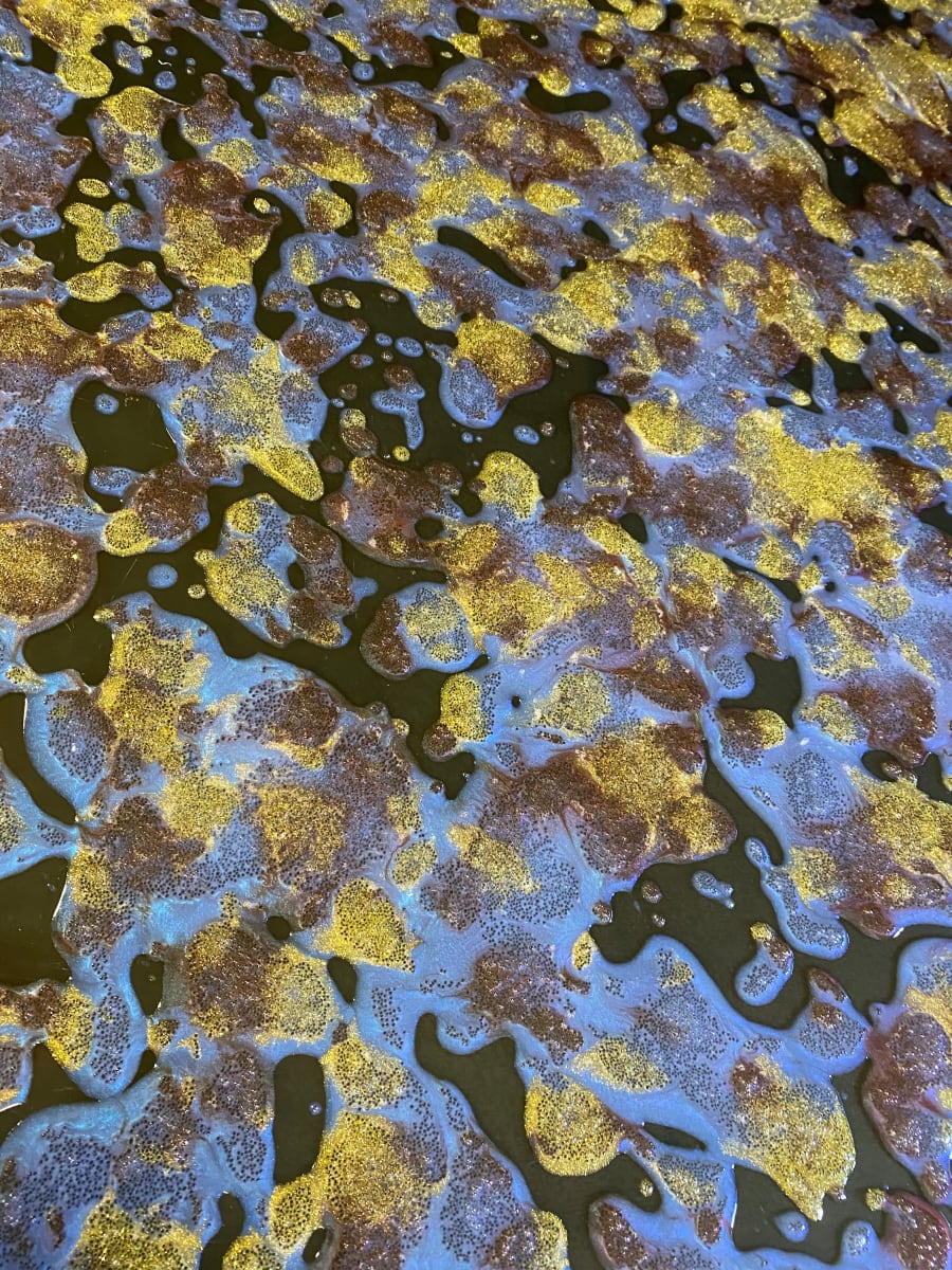 Panning For Gold by Peter Studl 