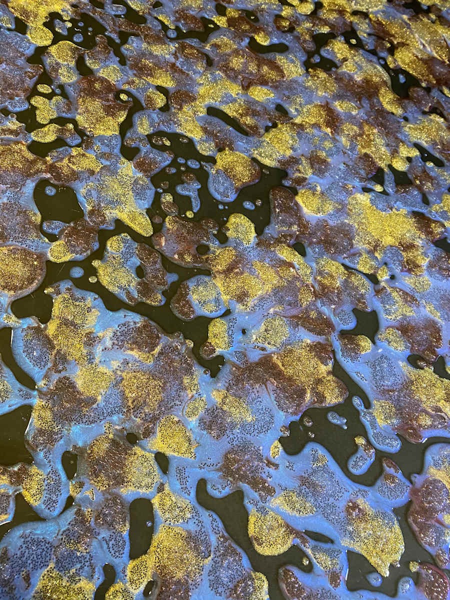 Panning For Gold by Peter Studl, Image 3.