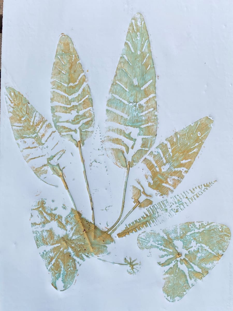 Fern by Peter Studl 