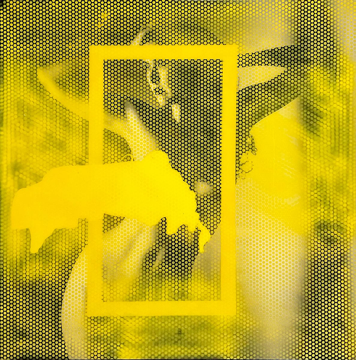 Form by Ritu Raj 