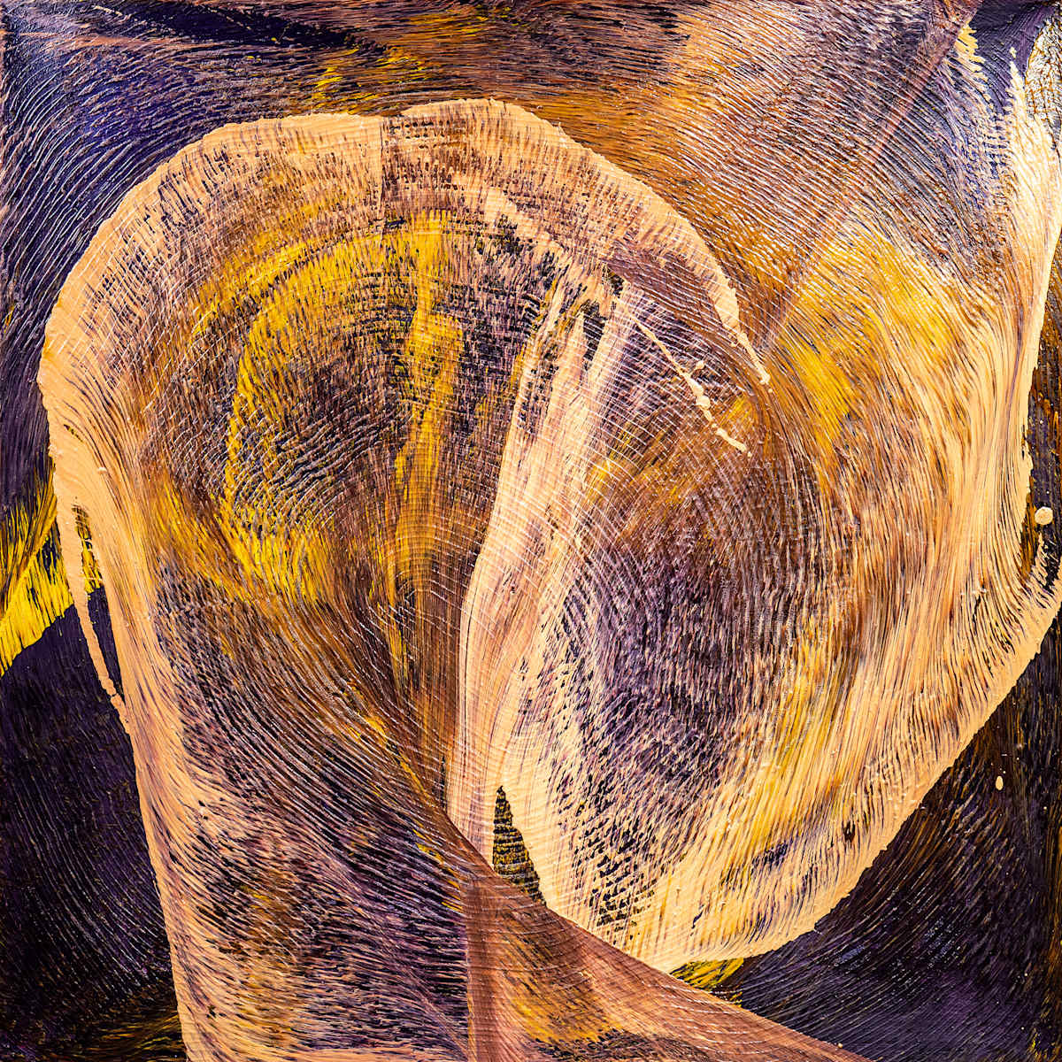 Sient Orbit by Ritu Raj 