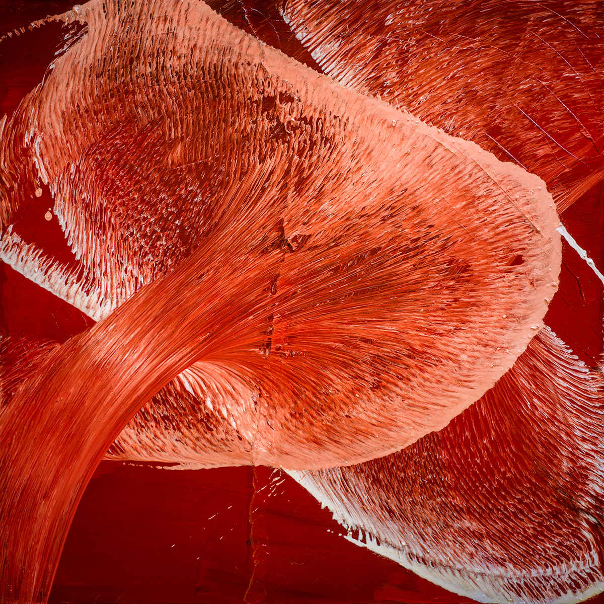 Crimson Vortex of Motion by Ritu Raj 