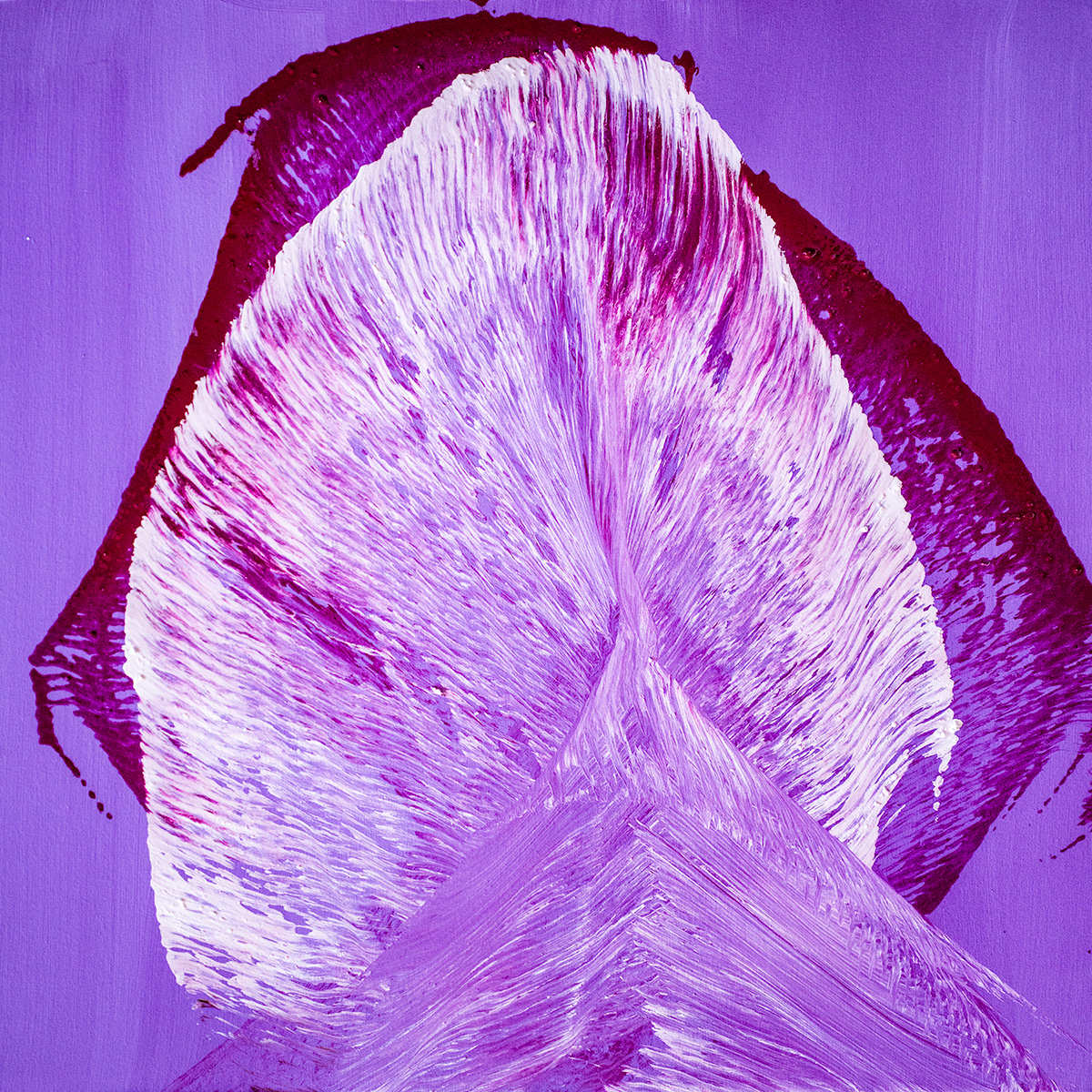 Pulse of the Purple Fan by Ritu Raj 