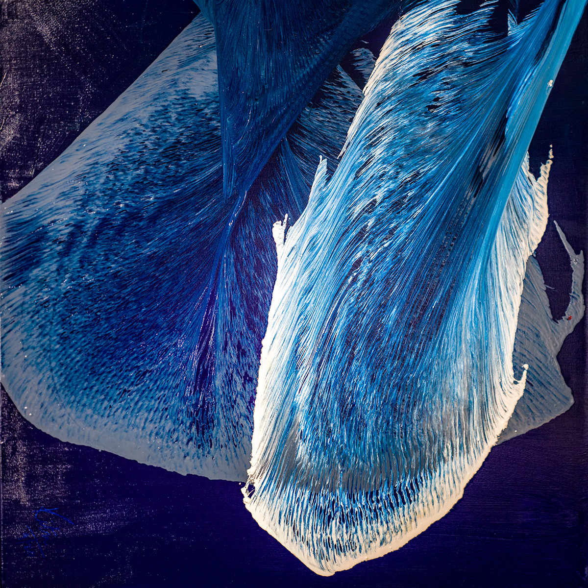 Skybound Strokes in Motion by Ritu Raj 