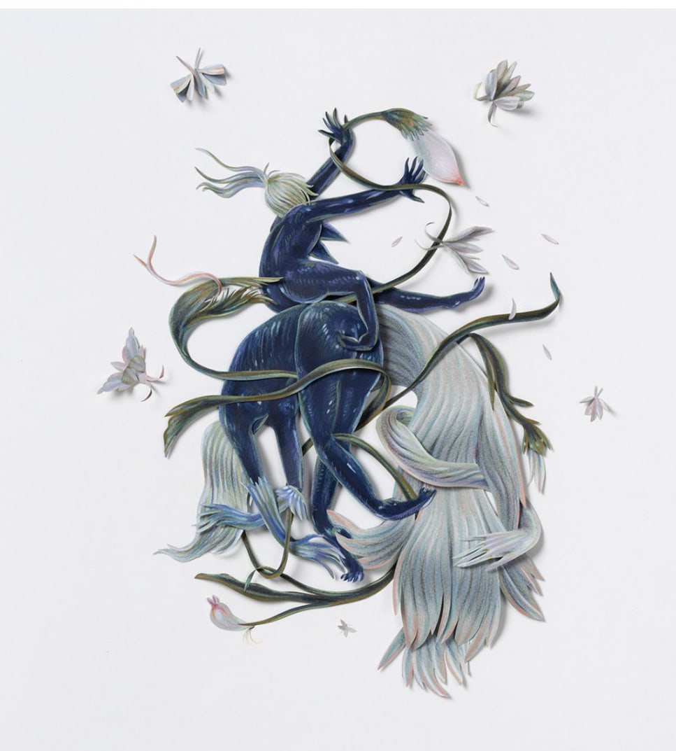 Rodeo by Winnie Truong 