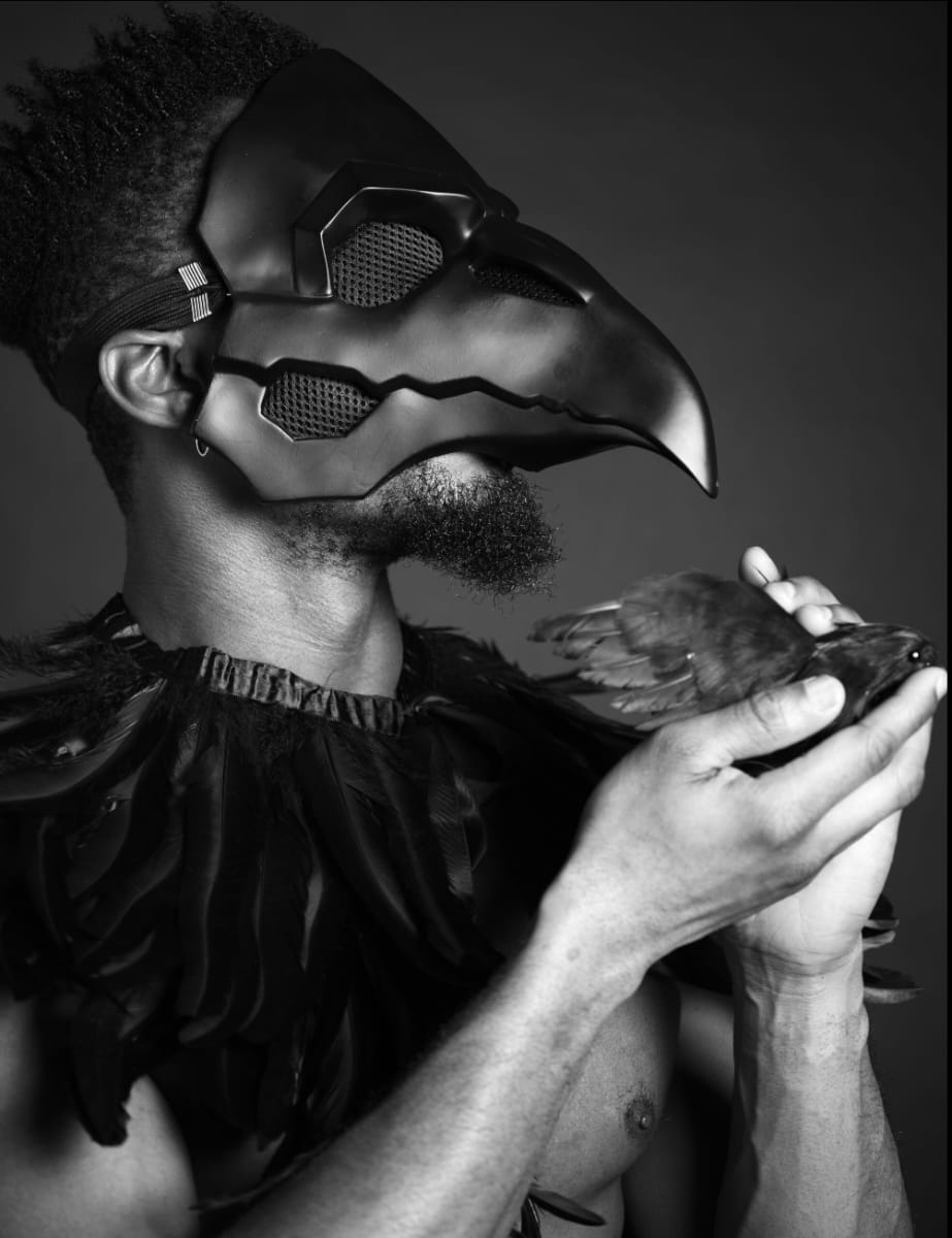 The Healer of Crows by Ajamu X  Image: The Healer of Crows
Ajamu X
Limited Edition print of 20
2020
