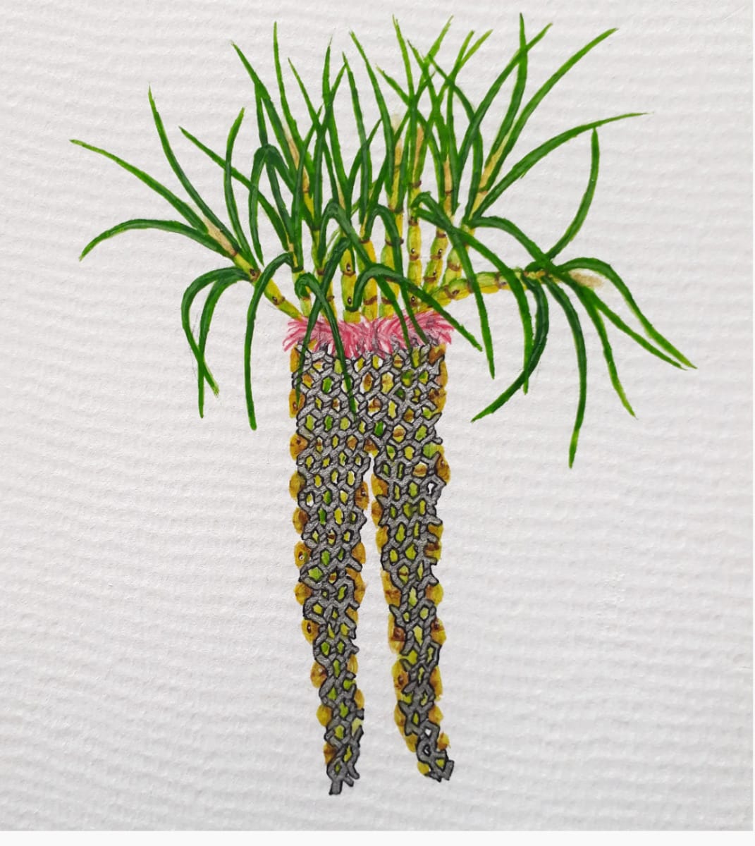 Untitled VI Mixed Media on Acid Free Paper   (2021) by Gabrielle Moore  Image: Untitled VI
Mixed Media on Acid Free Paper 
2021