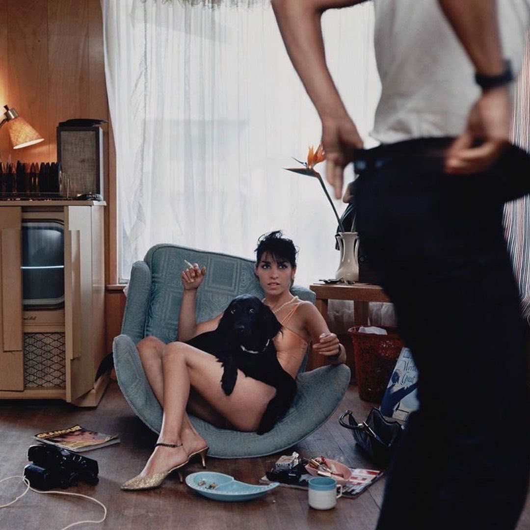 From Pleasures and Terrors of Domestic Comfort by Peter Galassi, Image 1.