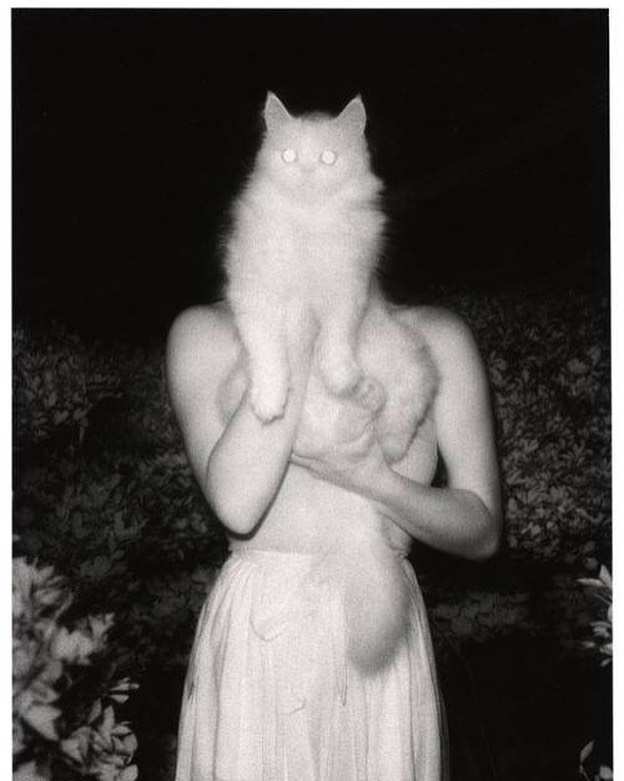 Once Upon a White Night by Masaaki Miyazawa, Image 1.