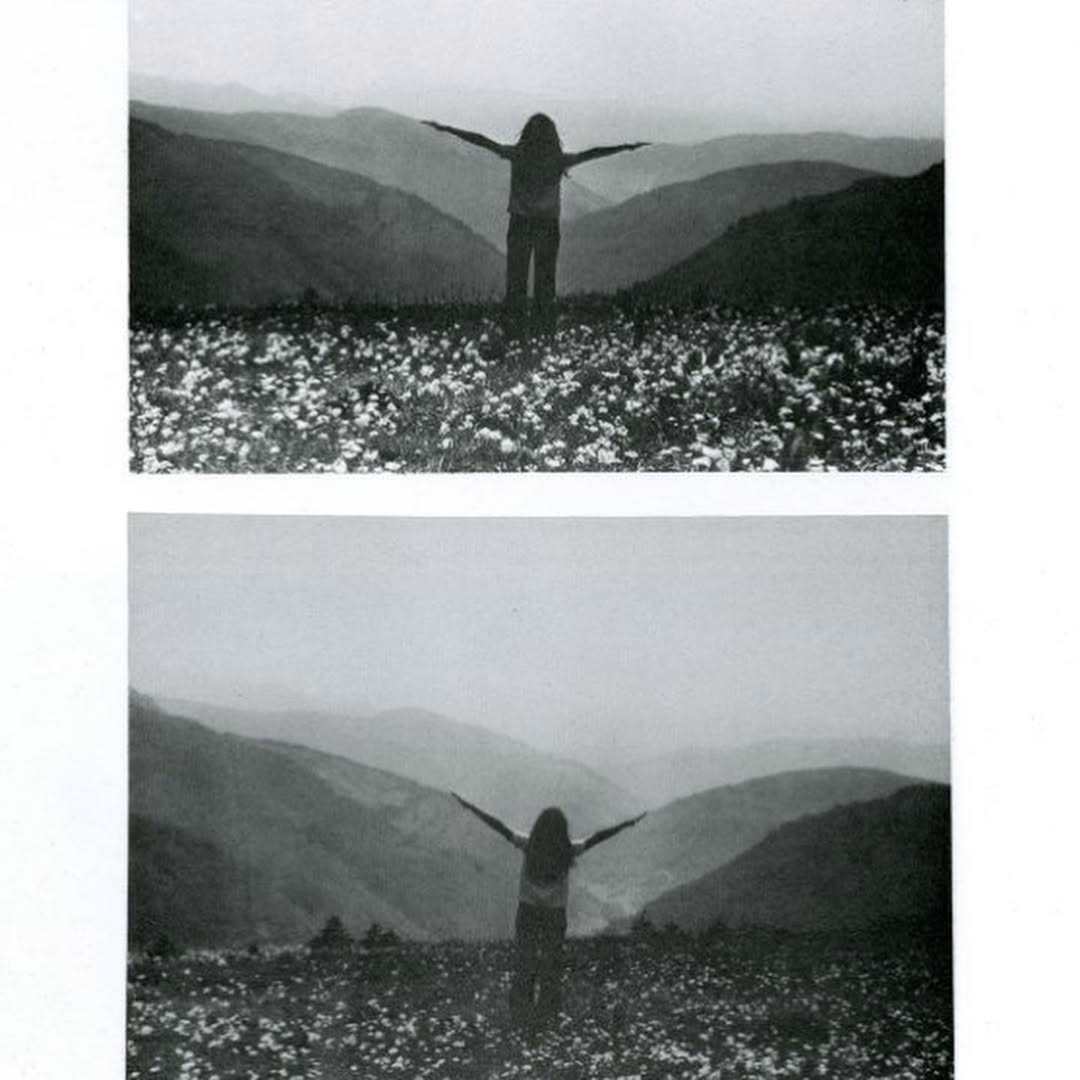 Mimesis by Barbara Leisgen, Michael Leisgen, Image 1.