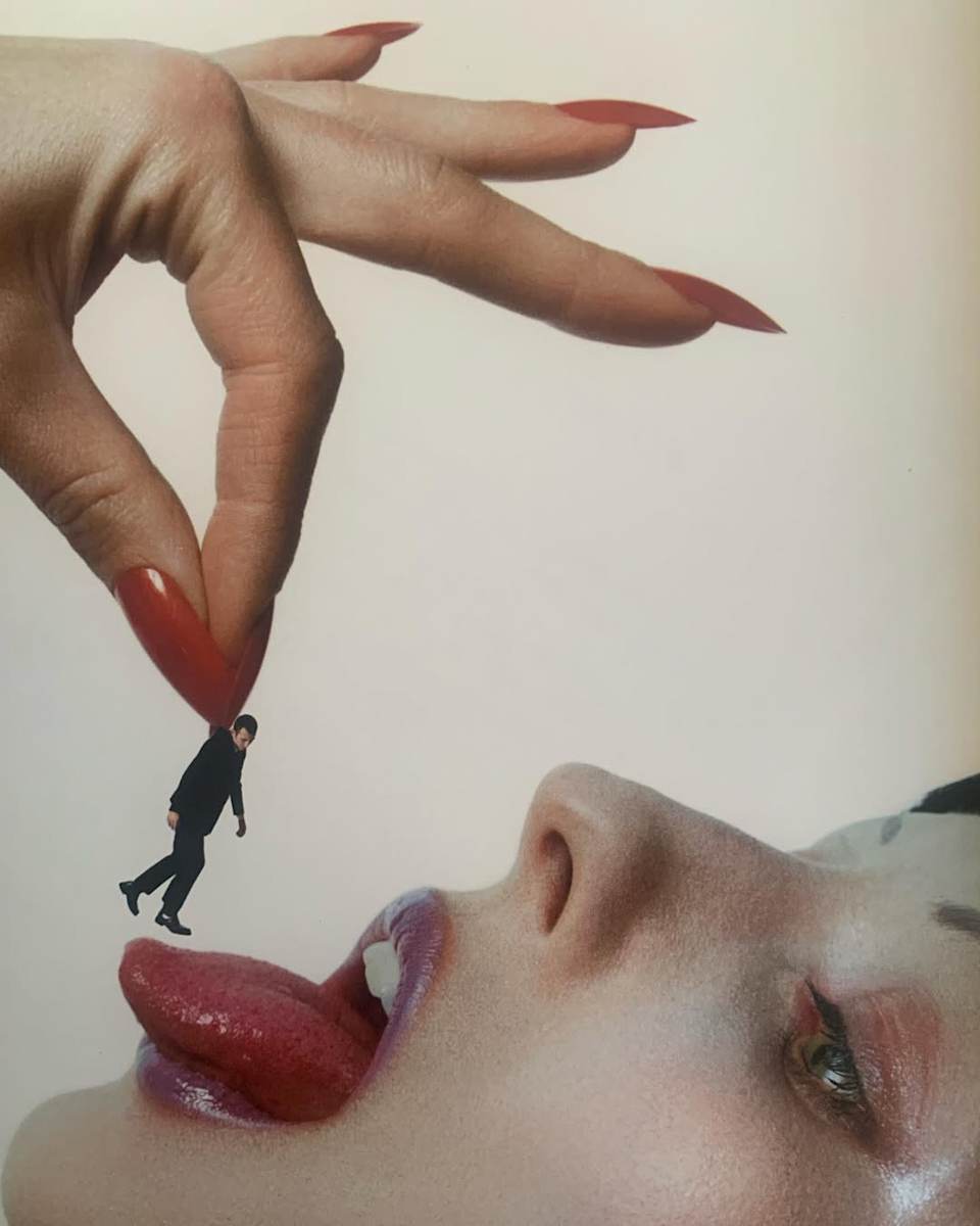 Beauty Papers by Harley Weir, Image 1.
