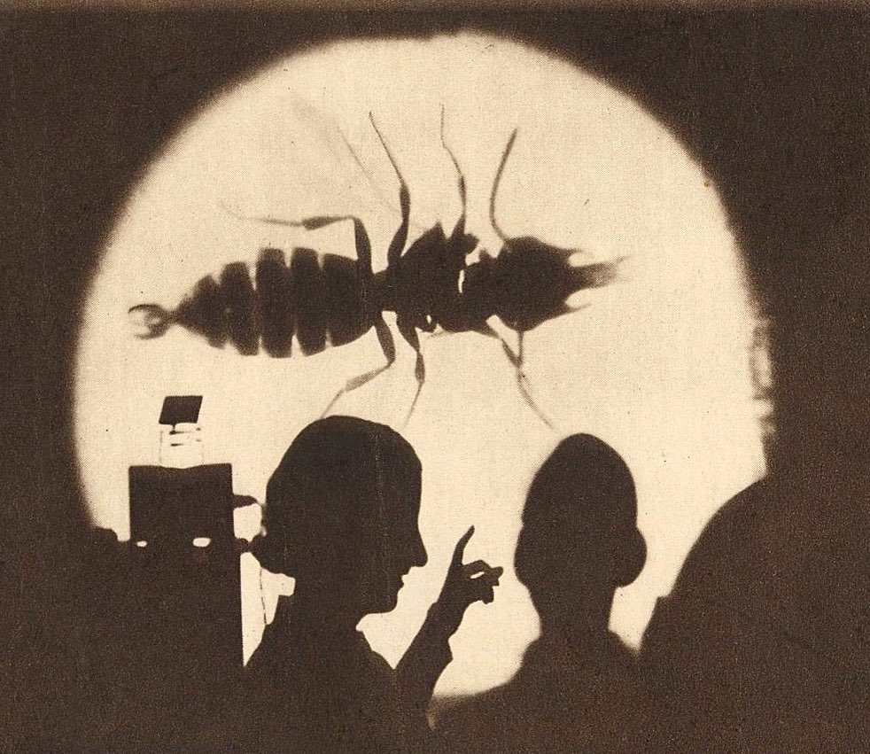 Unknown, Image 1.