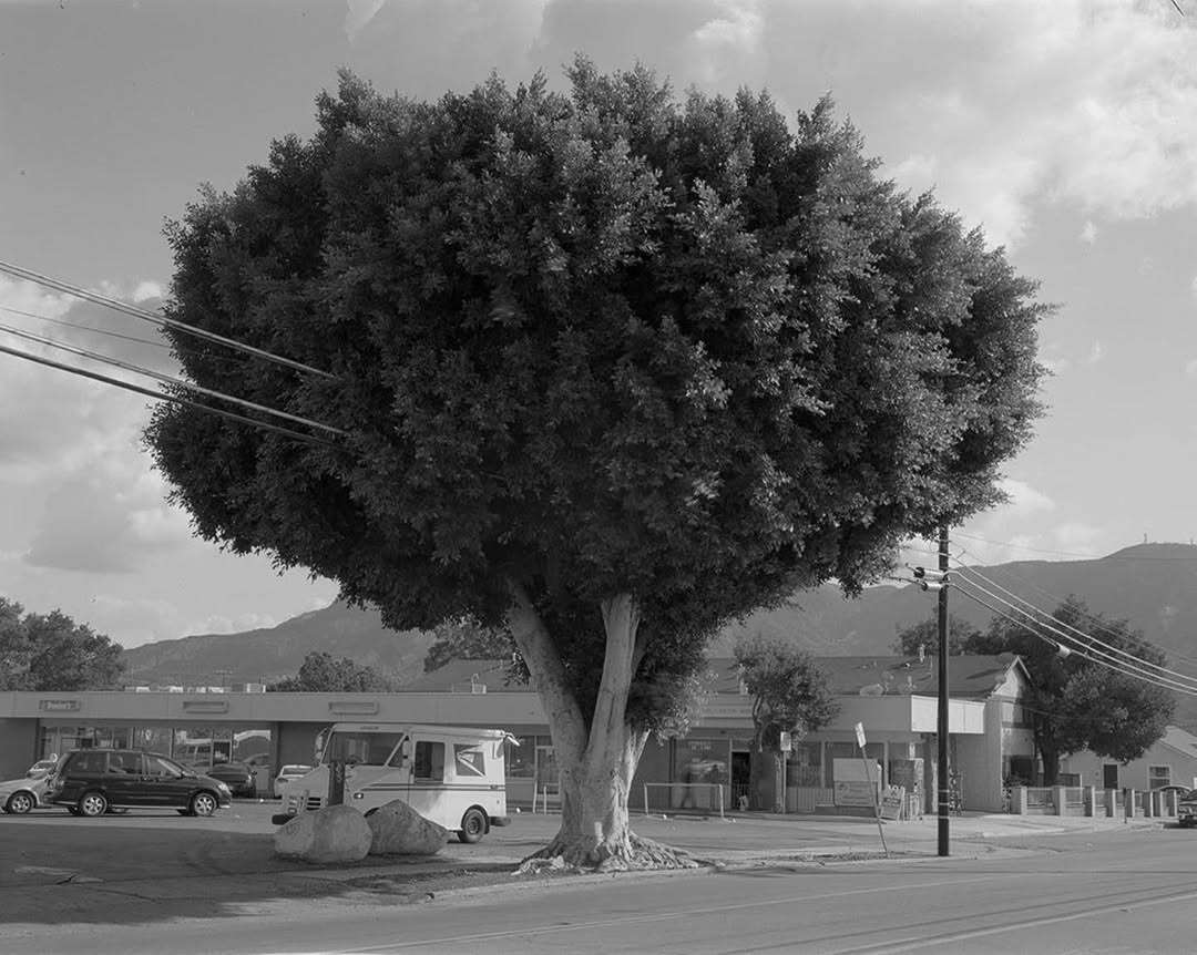 Unknown by Dylan Anthony 