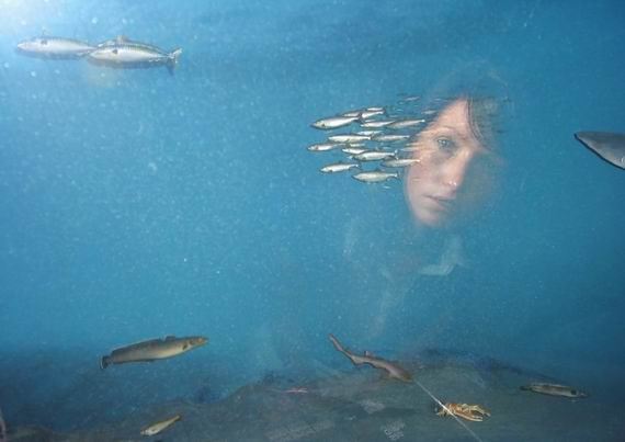 Enkemann (Fisherette) by Susanna Majuri 