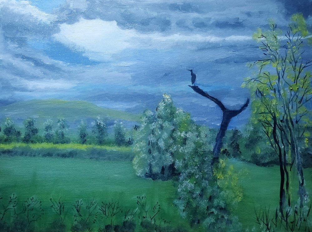 Watermeadows by Richard Lyons 