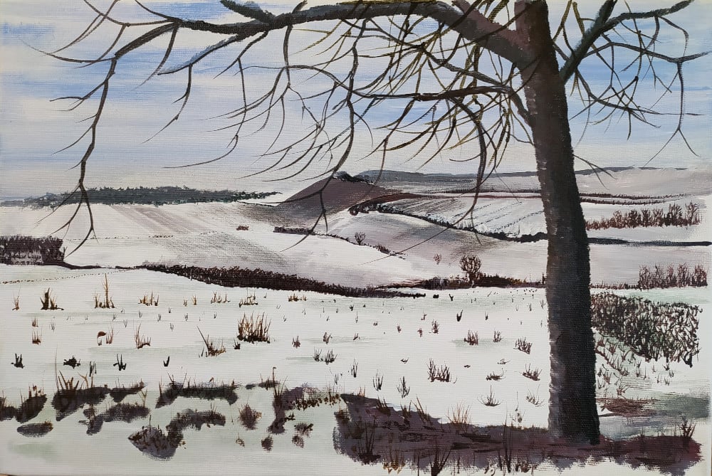 Snow in the Valley - Lăureni by Richard Lyons 