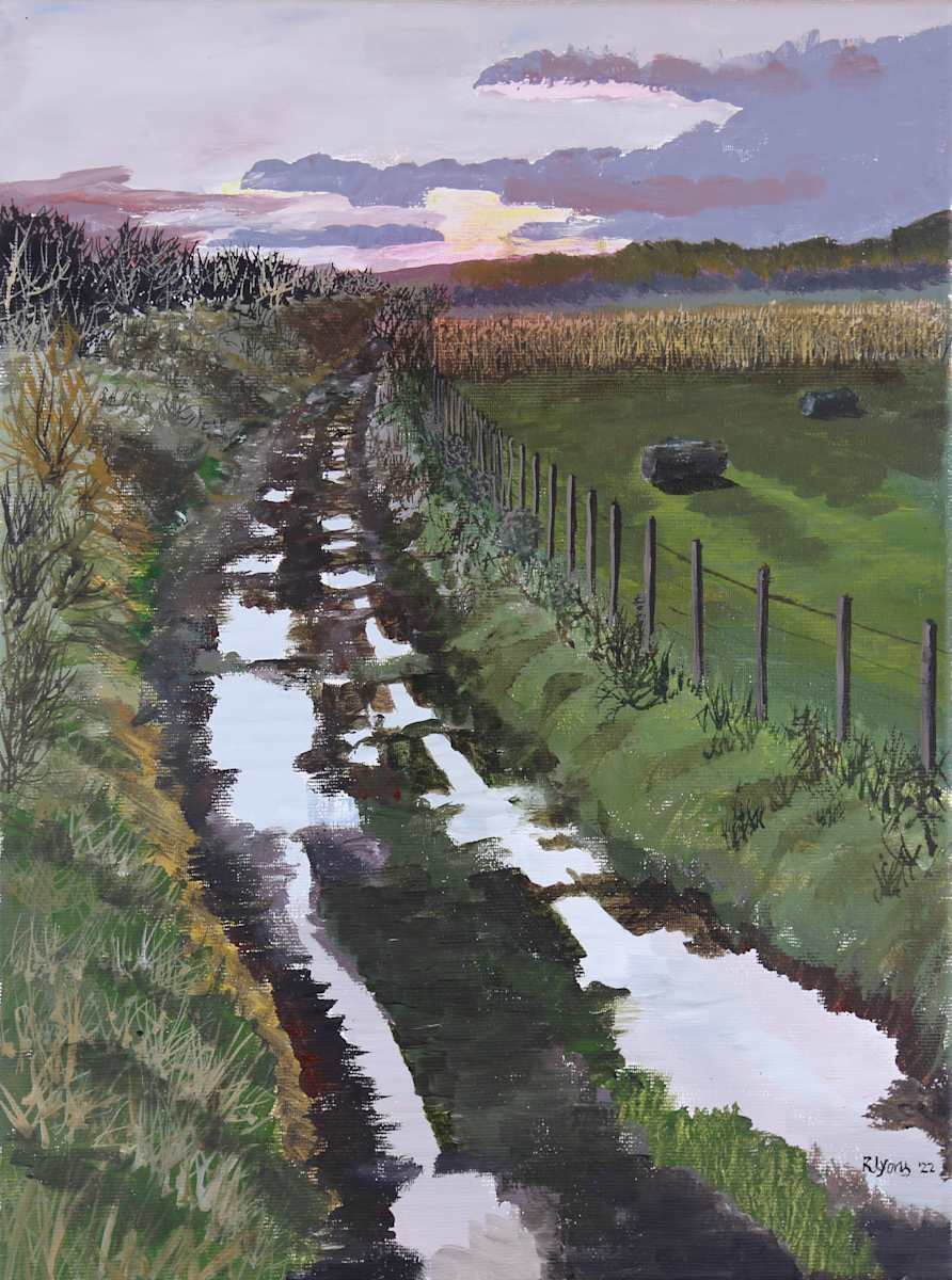 Sunset After Rain by Richard Lyons 