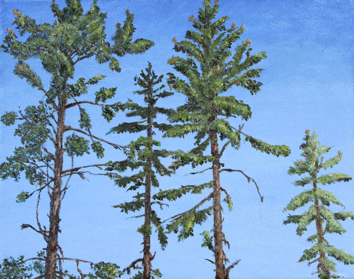 Four Sugar Pines by James Parker, Image 1.