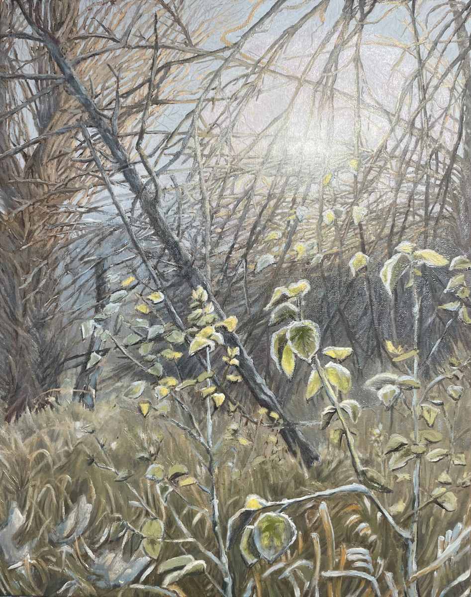 First Frost - Sunrise by James Parker 