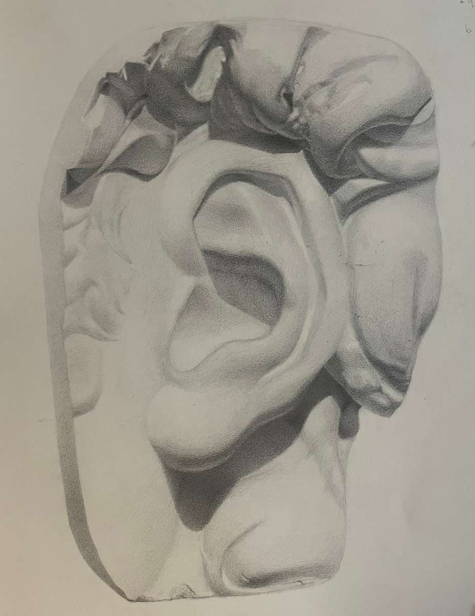 Michelangelo's David - Cast Study by James Parker, Image 1.