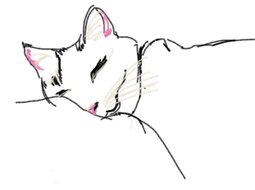 Cleo Smiling in Her Sleep by Andrea Harrison 