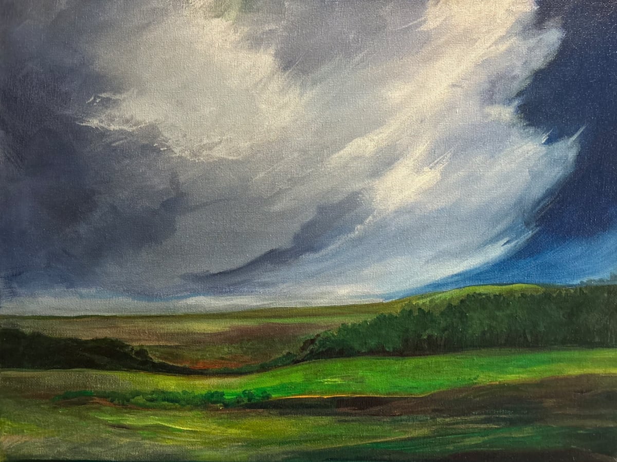 Summer Storm by Valerie Hodgson  Image: Storm over prairie