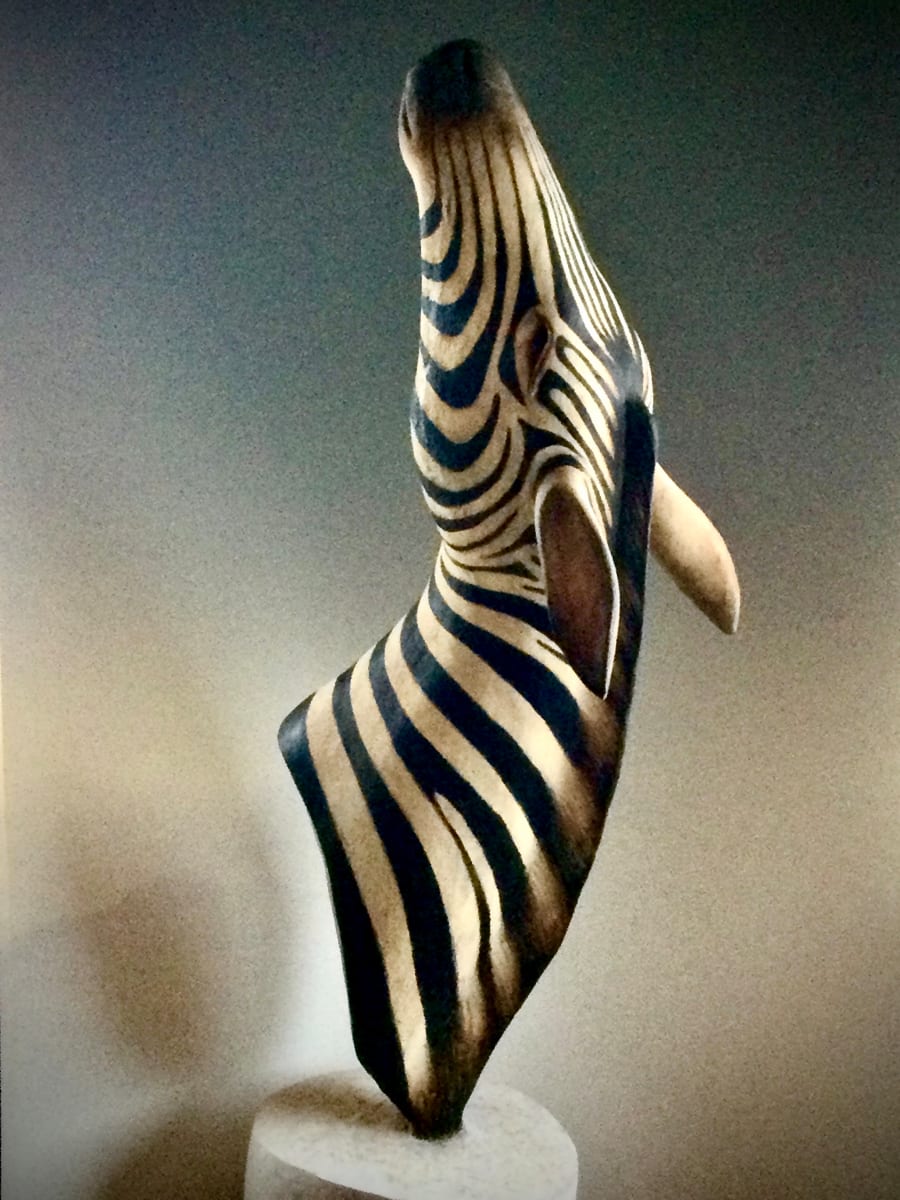 斑 馬 Zebra by 仁吉 Akihiko Yoshida, Image 11.