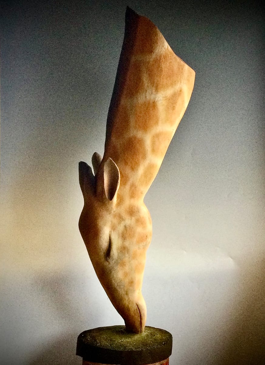 長頸鹿 Giraffe by 仁吉 Akihiko Yoshida, Image 7.