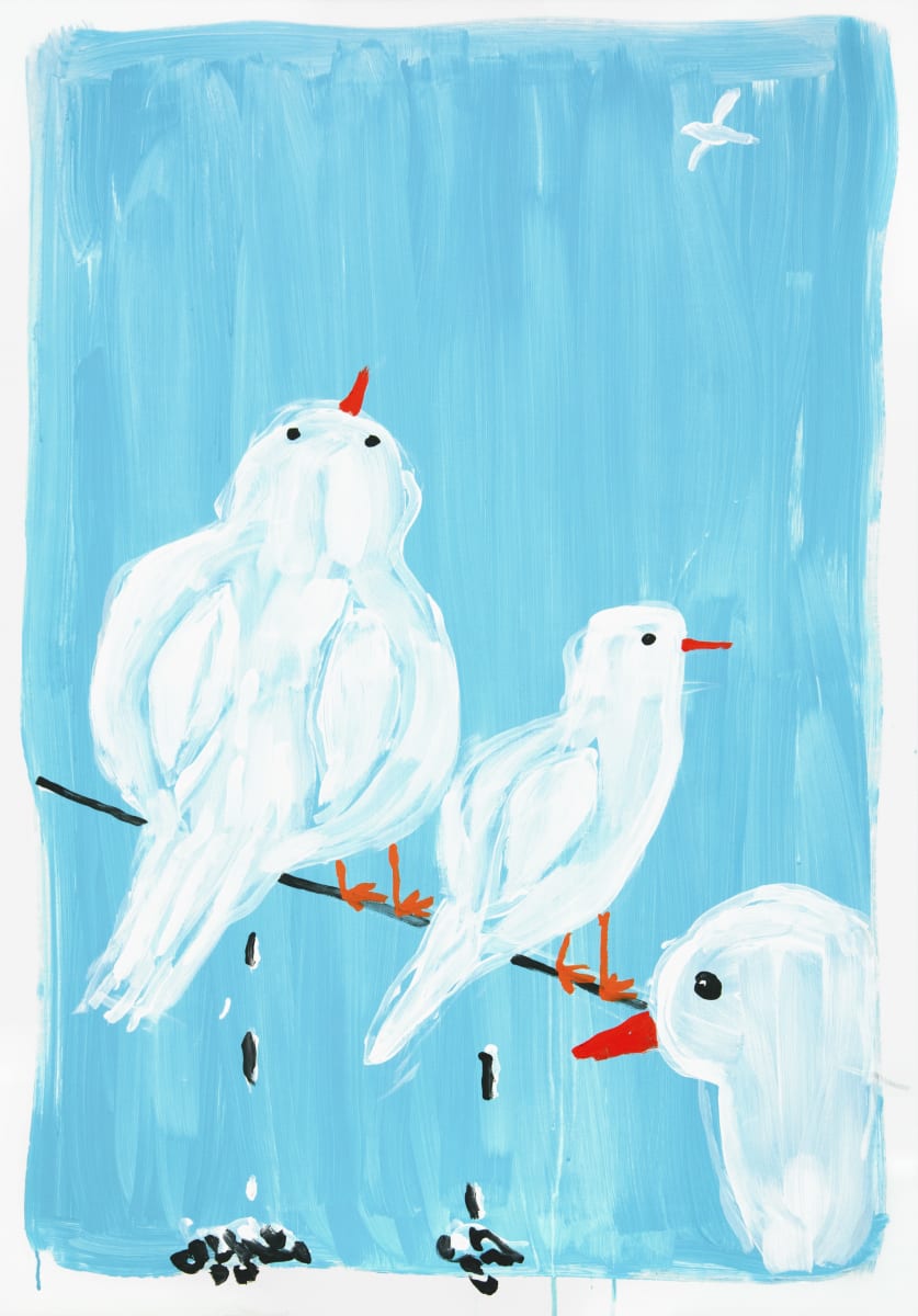 Seagulls pooping 便便的小海鷗 by Katharina Arndt 