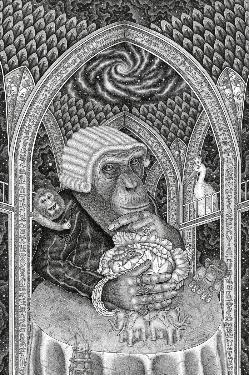 Guessing on a Cabbage Head 猜白菜頭 by Dima Kashtalyan, Image 3.