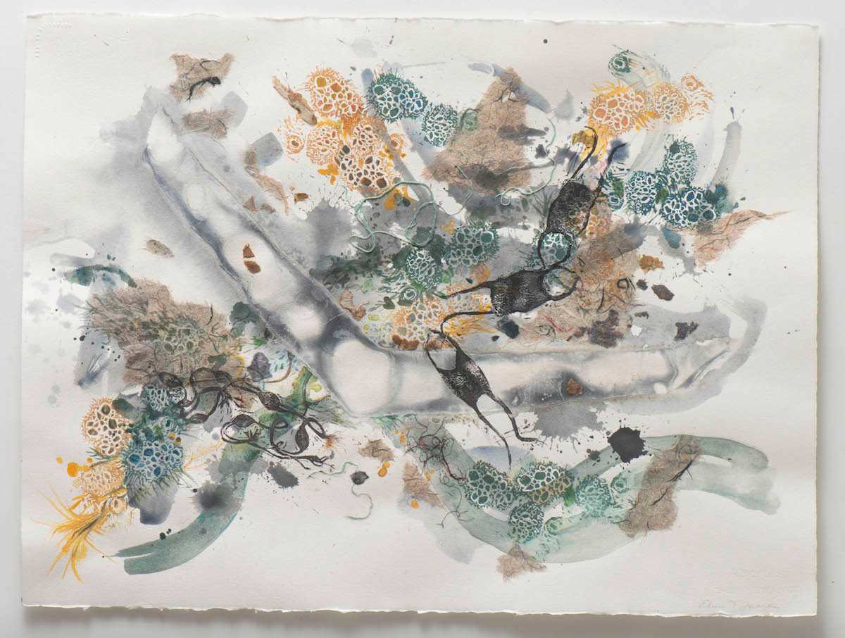 Tidelines 2 by Eileen Ferara 