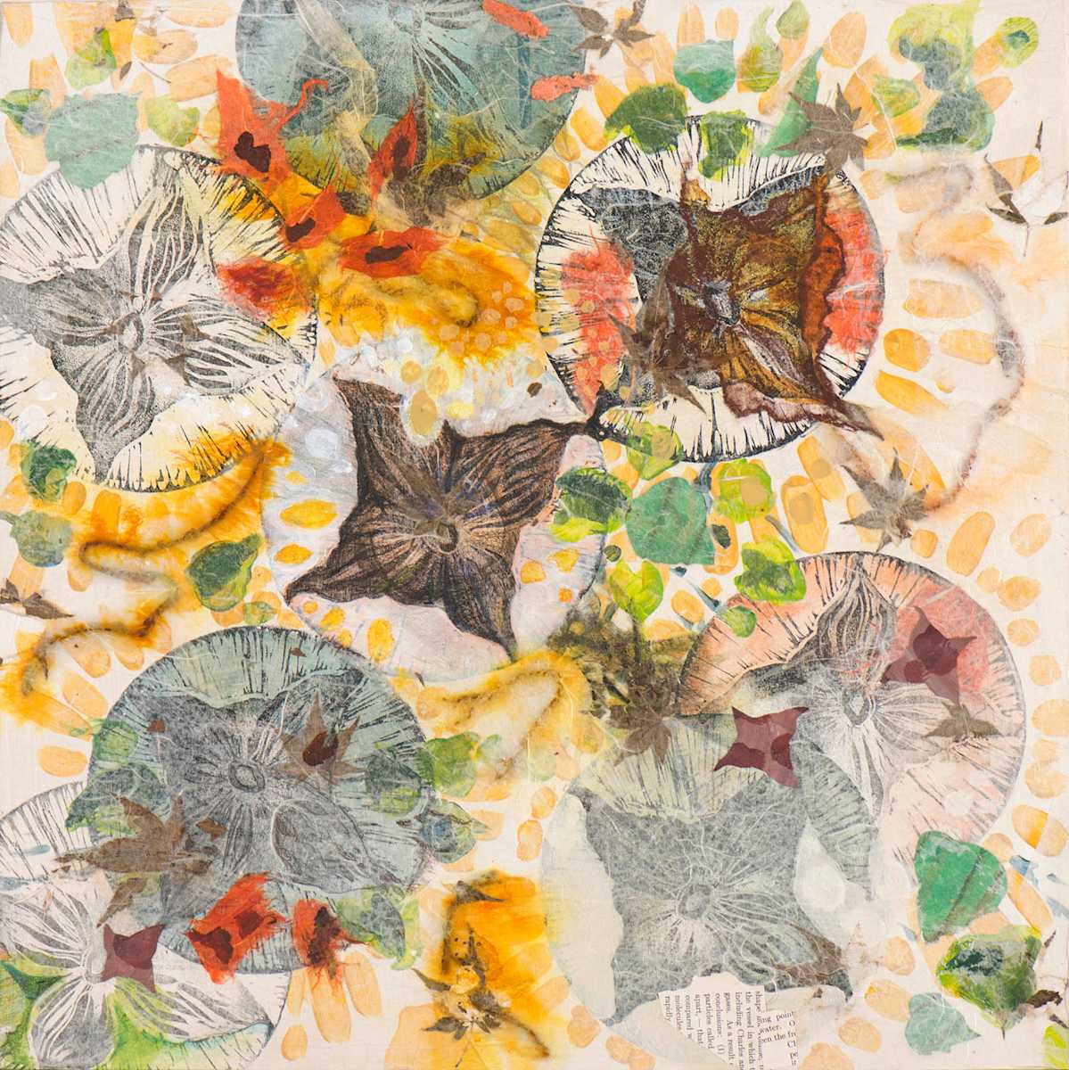 Devil's head pods, Increase and Expand 1 by Eileen Ferara 