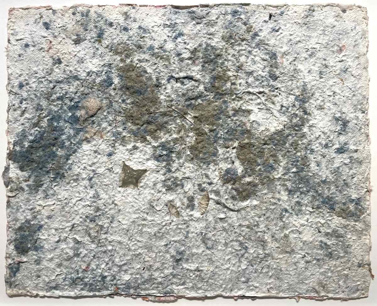 Dispersal1 by Eileen Ferara 