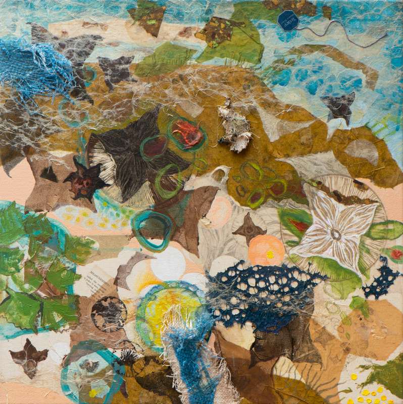 Stormy Shallow by Eileen Ferara 