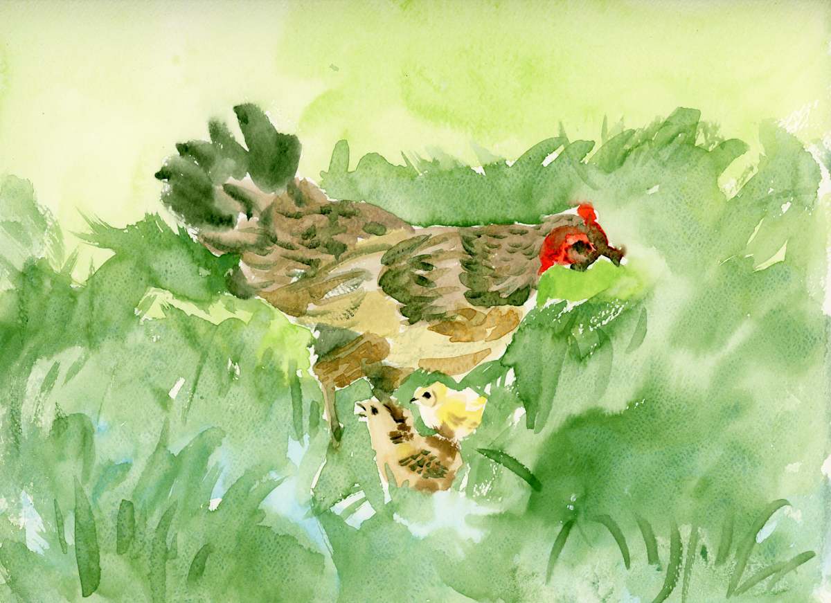 Waimea Chickens by Temo 