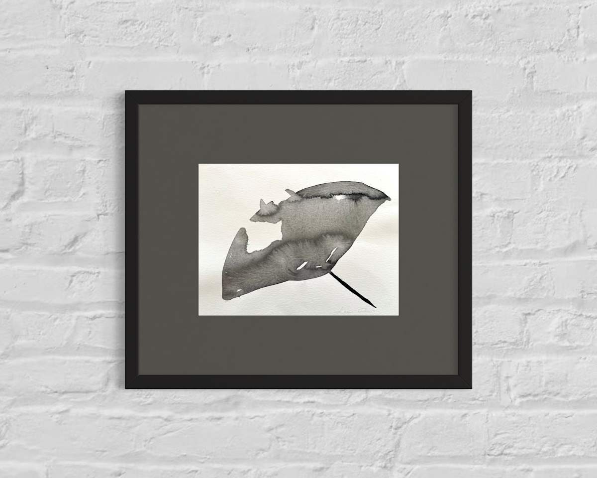 Ray by Lucie Galvin 