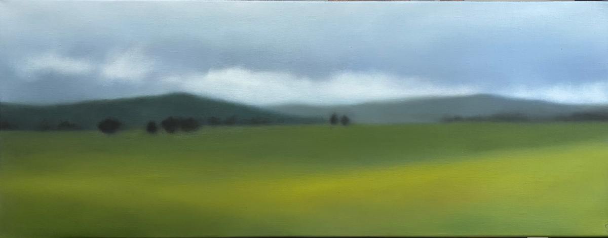 Fog with Green Field by Christie Scheele 