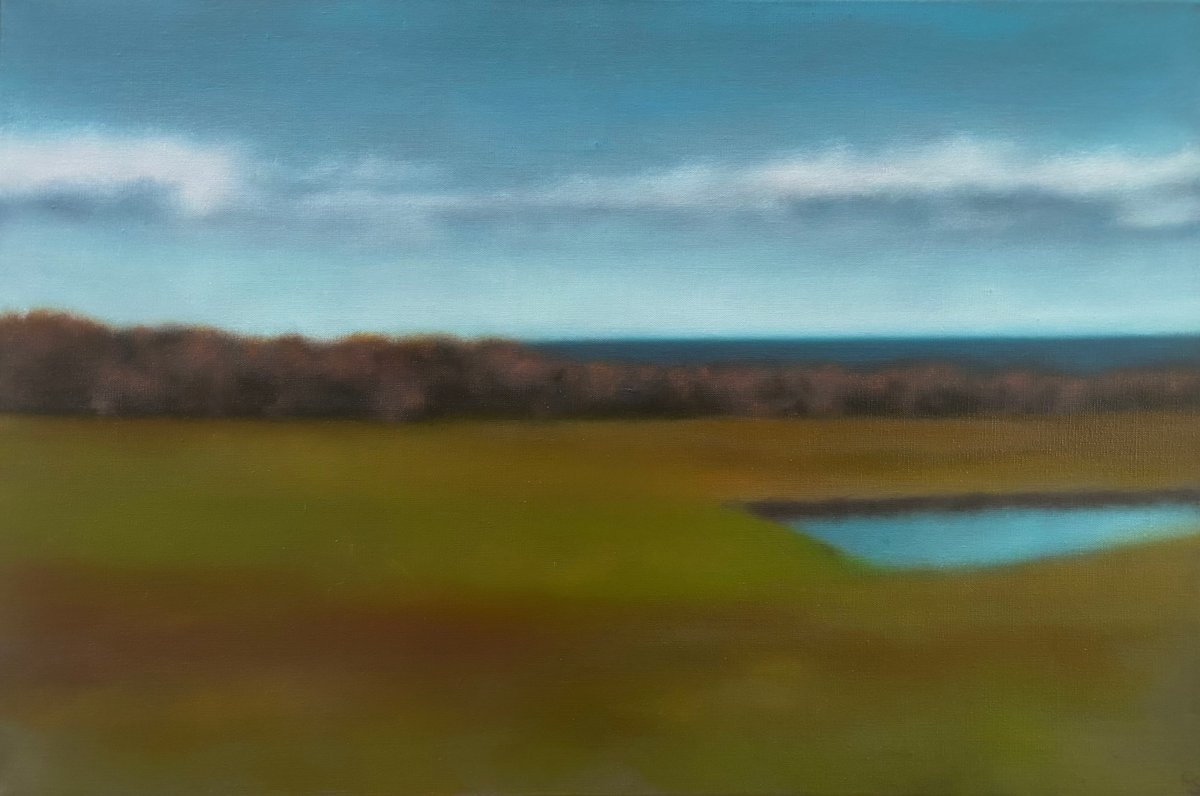 Sea Beyond Field by Christie Scheele, Image 1.