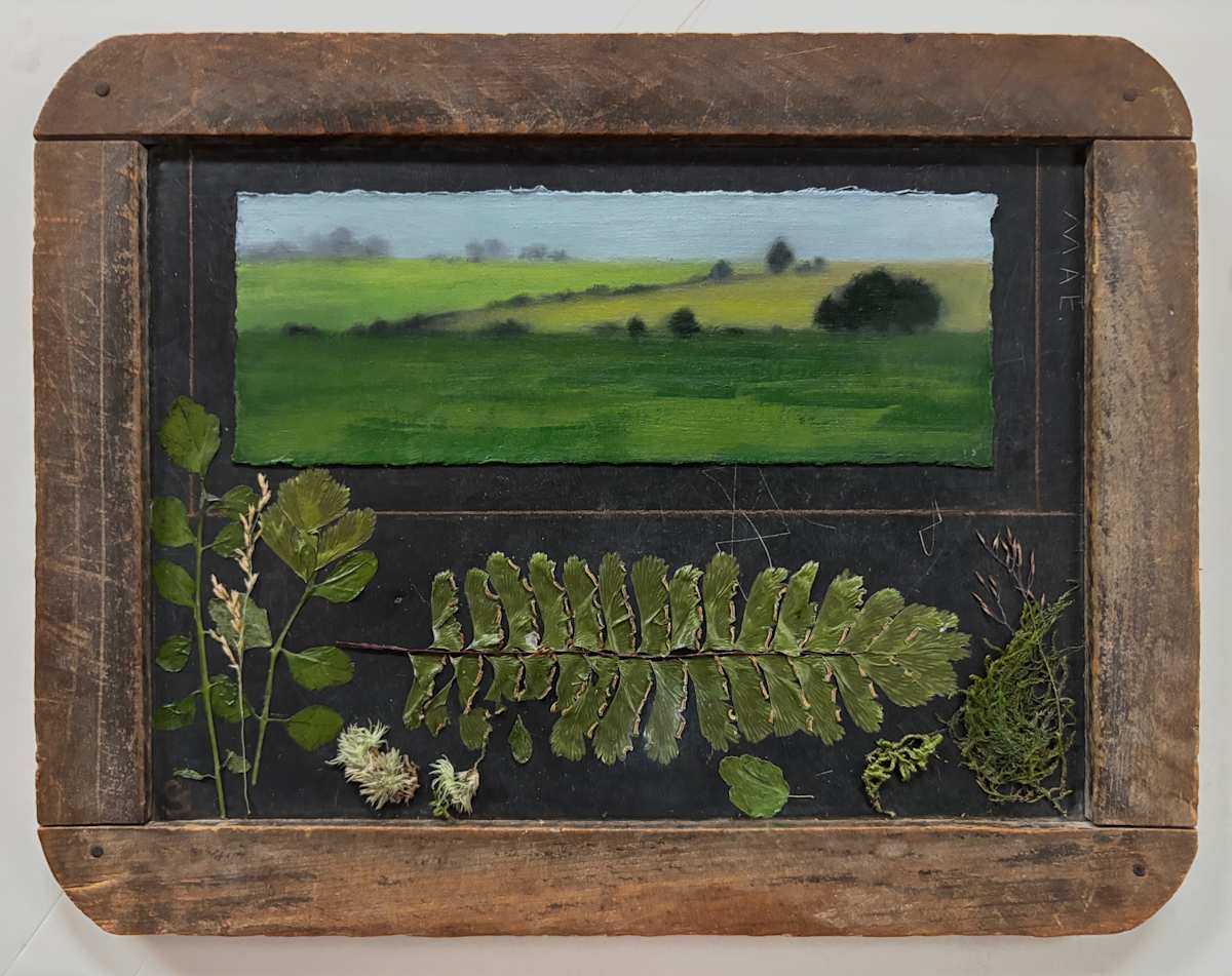 Monreith Summer Fields/Place #5 by Christie Scheele 