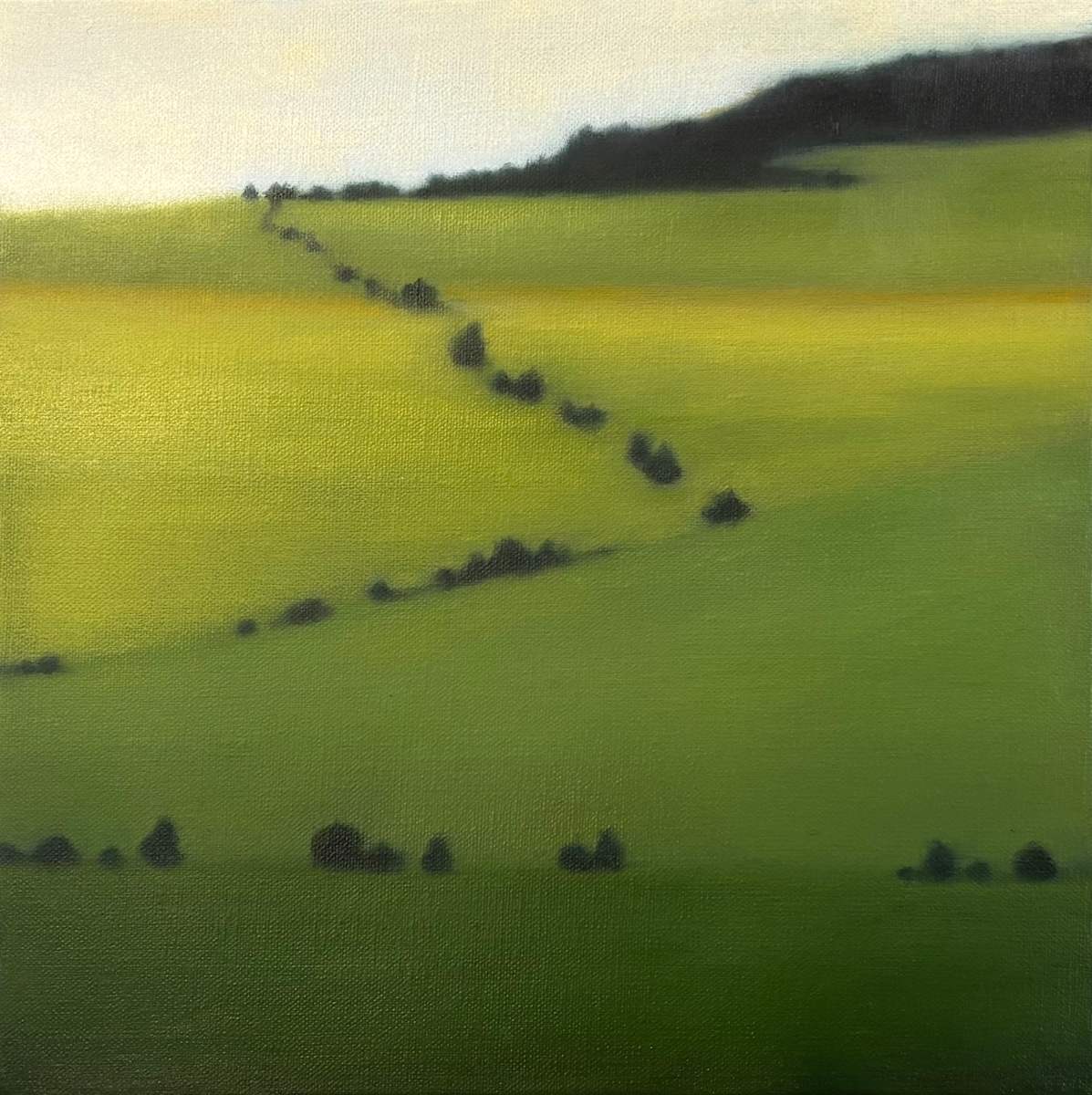 Sequencing Greens by Christie Scheele 